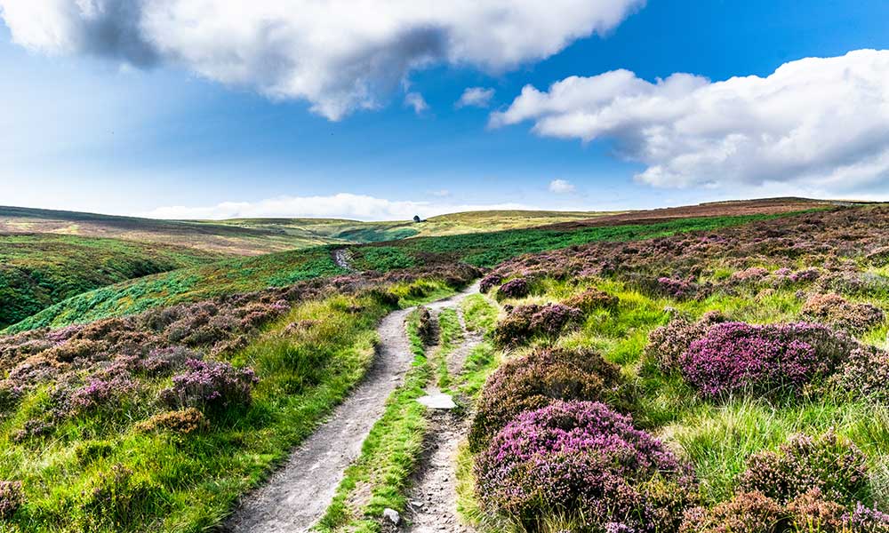 Haworth Moors